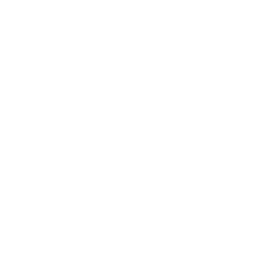 Internacionalización