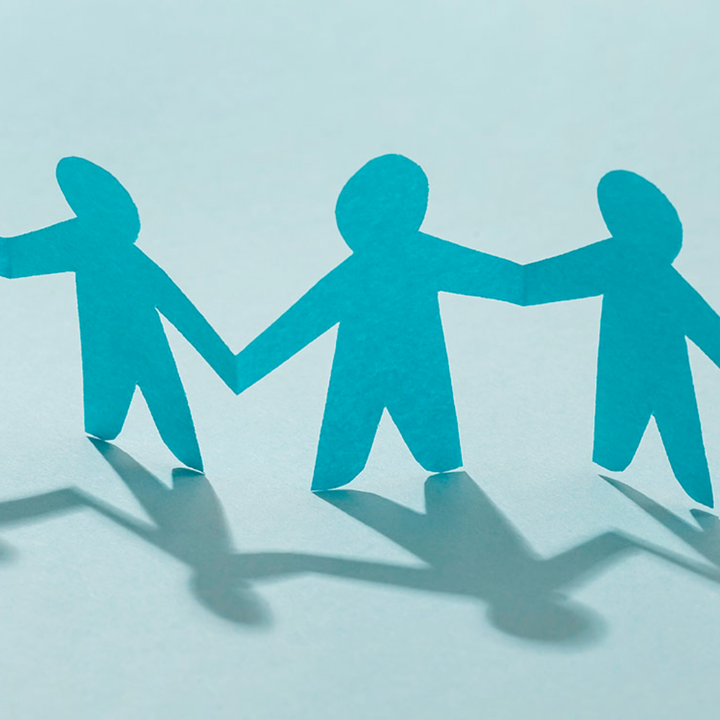 Organizaciones afines