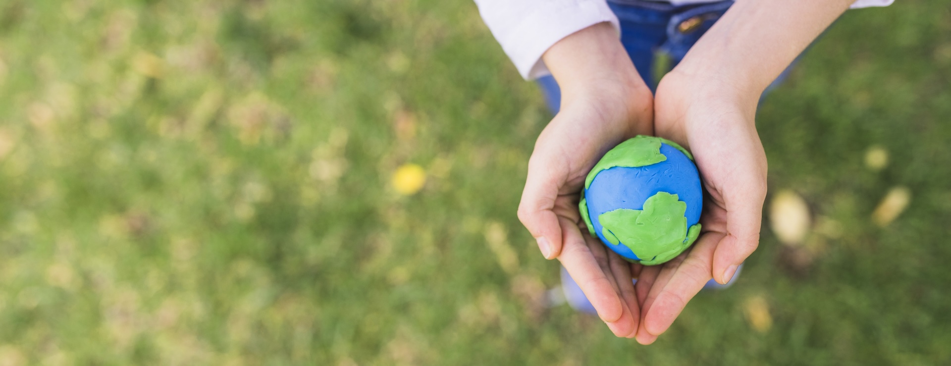 Innovación y sostenibilidad