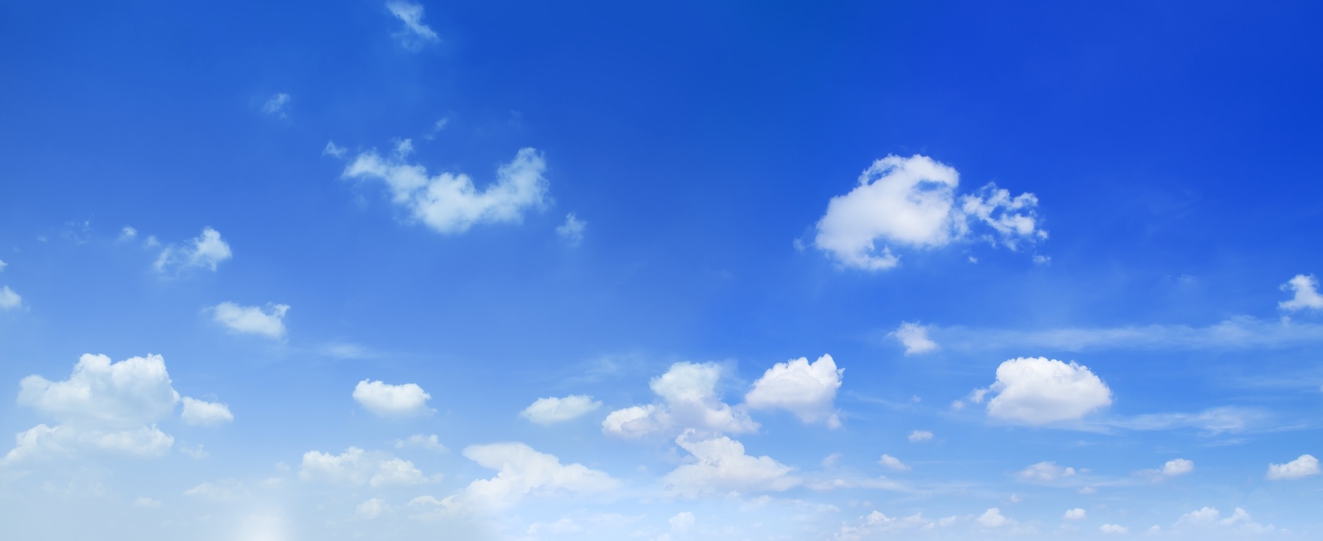 Innovación y sostenibilidad