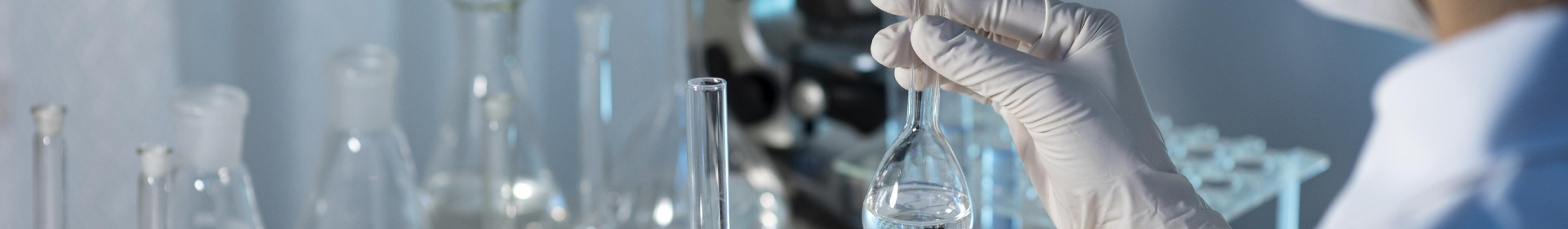 Innovación y sostenibilidad