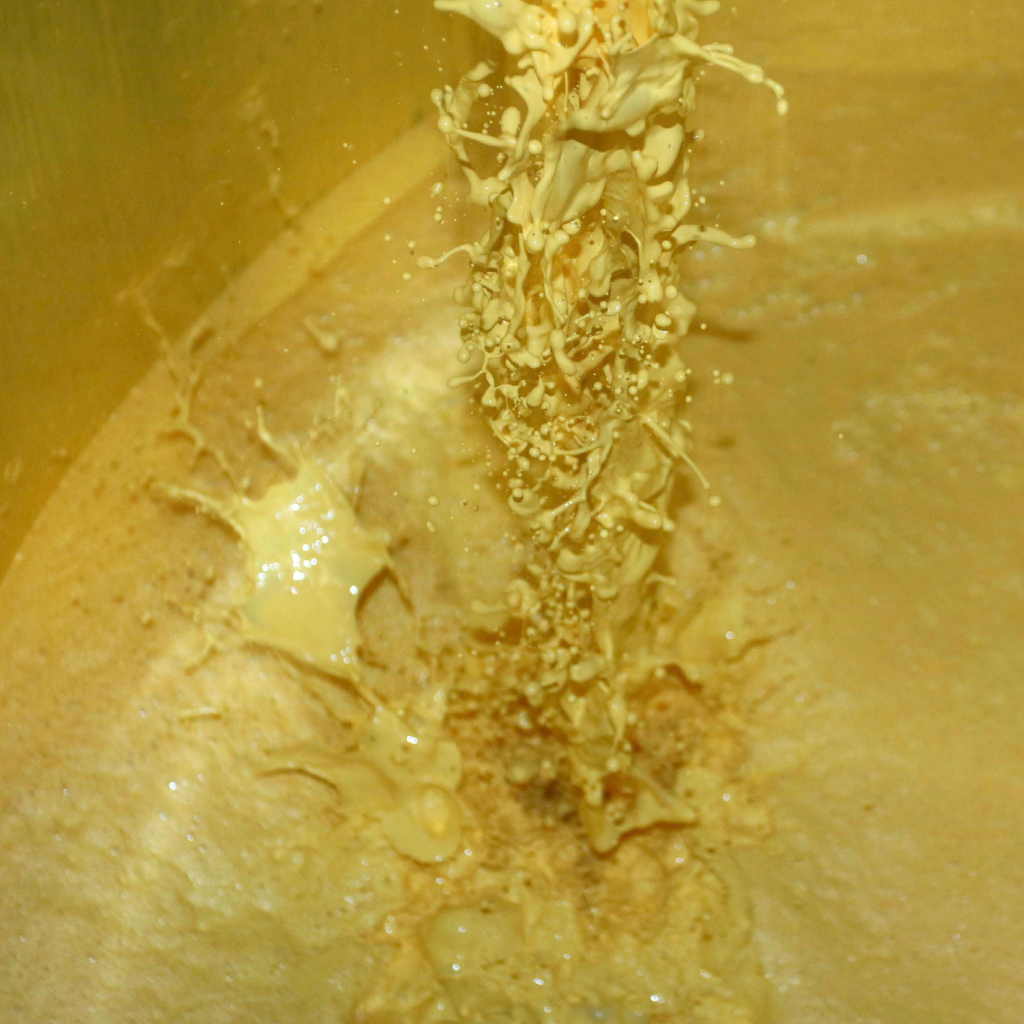 ¿Qué son los esmaltes?